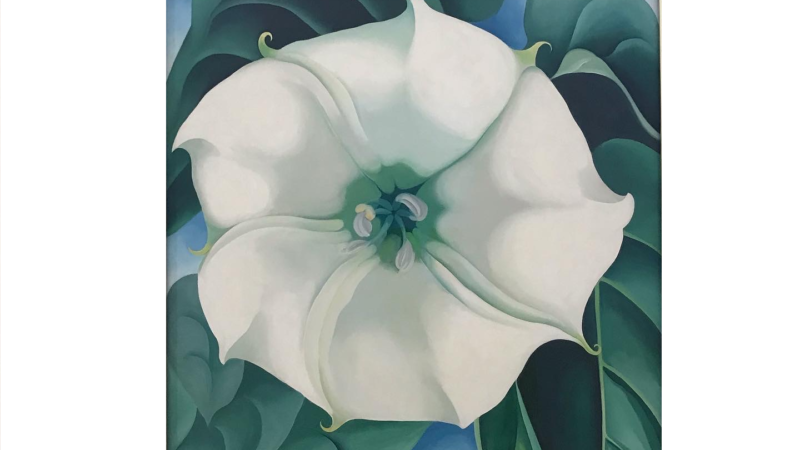 Georgia O’Keeffe Exhibition in Fondation Beyeler