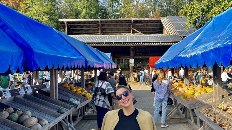 Pumpkin Market in Basel