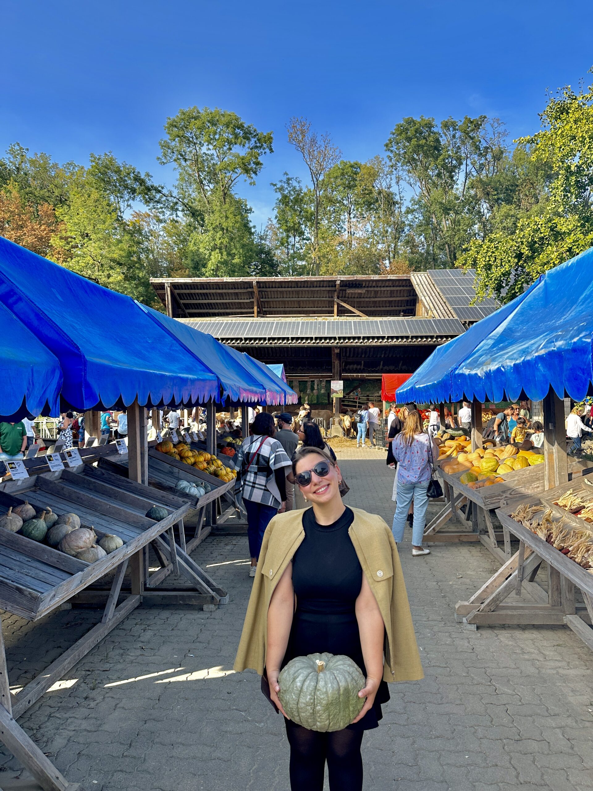 Pumpkin Market in Basel